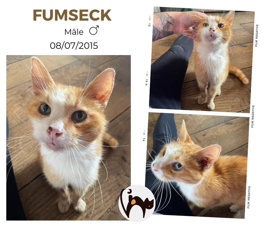 FUMSECK