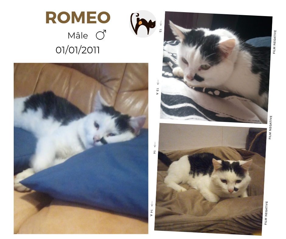 Roméo _20260216_091728_0000